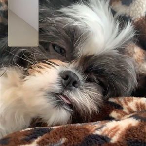 Meet your Posher, Marie